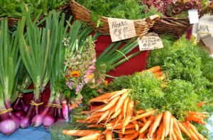 Learn How to Apply for Food Coupons Online
