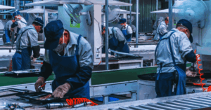 Japan Is Hiring – Packing and Factory Jobs for Francophone Workers