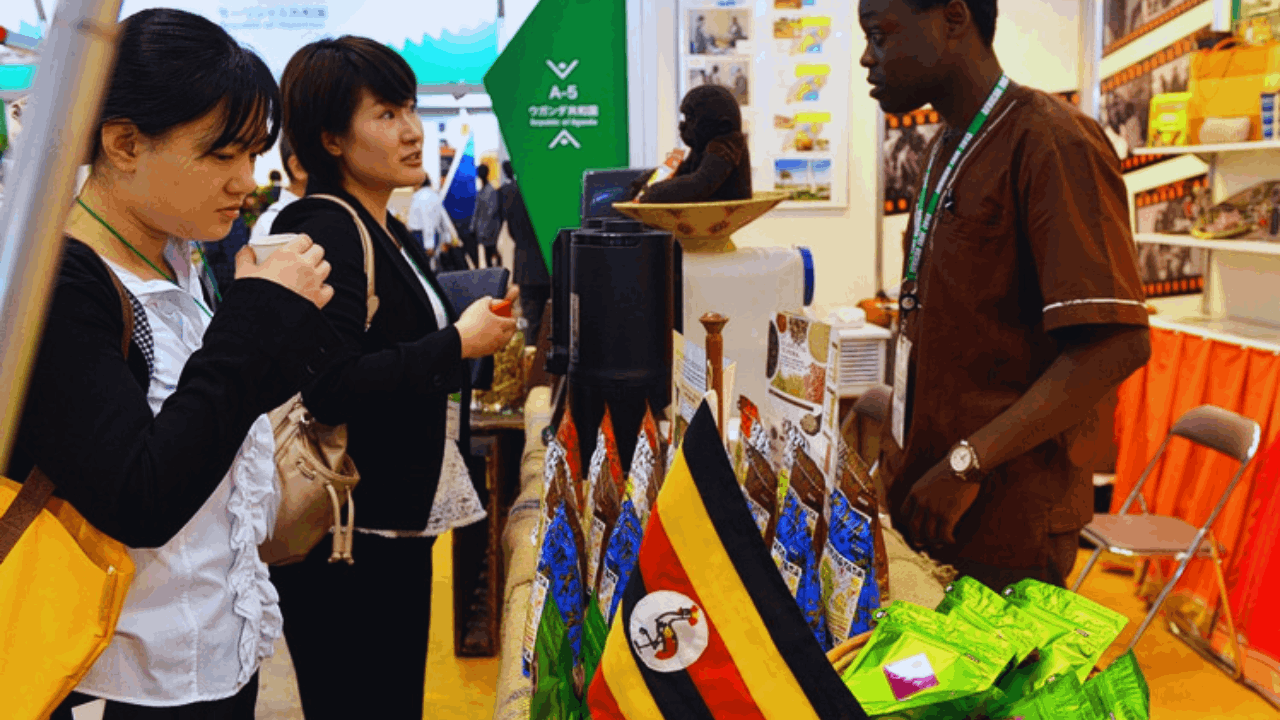 Japan Is Hiring – Packing and Factory Jobs for Francophone Workers