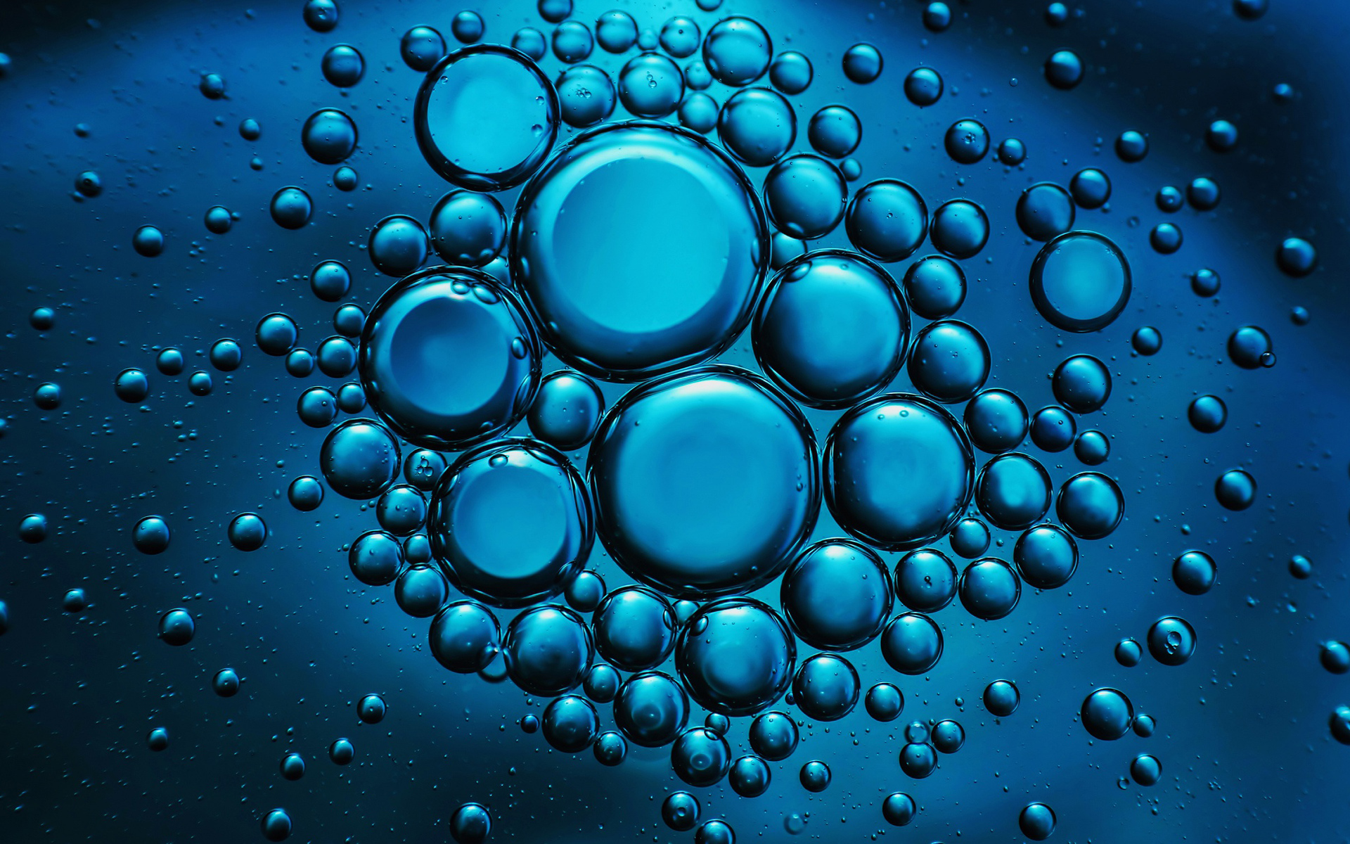 download bubbles and co download bubbles and co