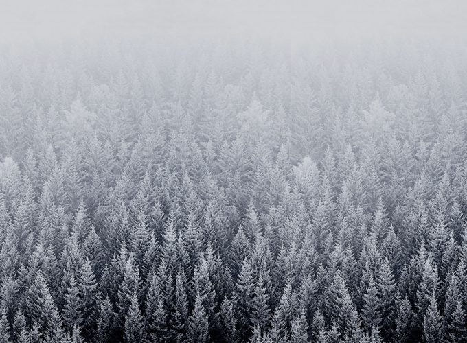 iOS 8 Snow Forest Default Mac Desktop