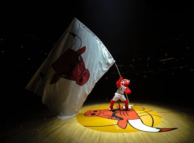 chicago bulls basketball emblem symbol flag