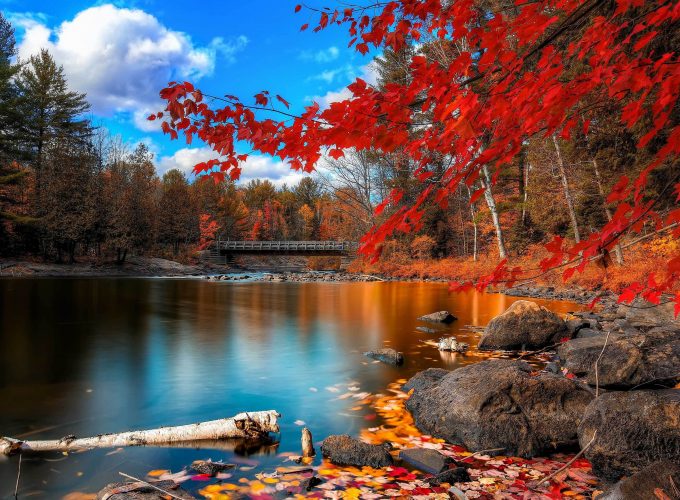 Autumn lake and trees. Desktop 4K Ultra HD