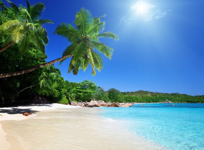 Tropical Beach Landscape 1080p Wallpapers
