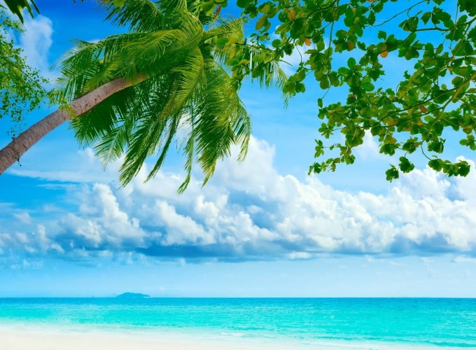 Tropical Beach Landscape iphone Wallpaper