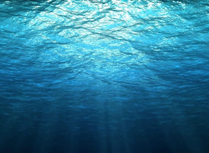 Desktop Wallpaper Underwater