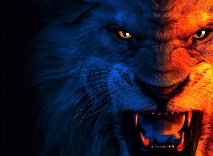 Angry Lion HD Desktop Wallpaper