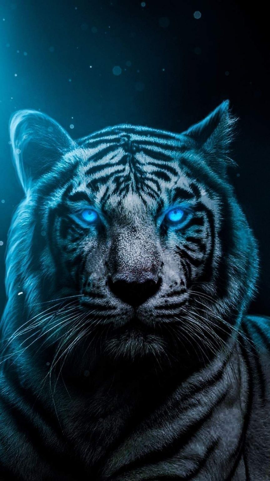 Blue eyes Tiger Wallpaper Wallpaper Download - High Resolution 4K Wallpaper