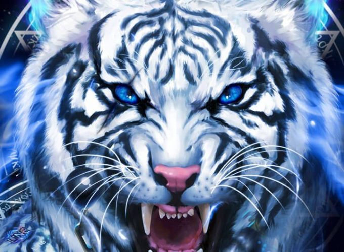 Wallpaper Hd For Mobile Tiger
