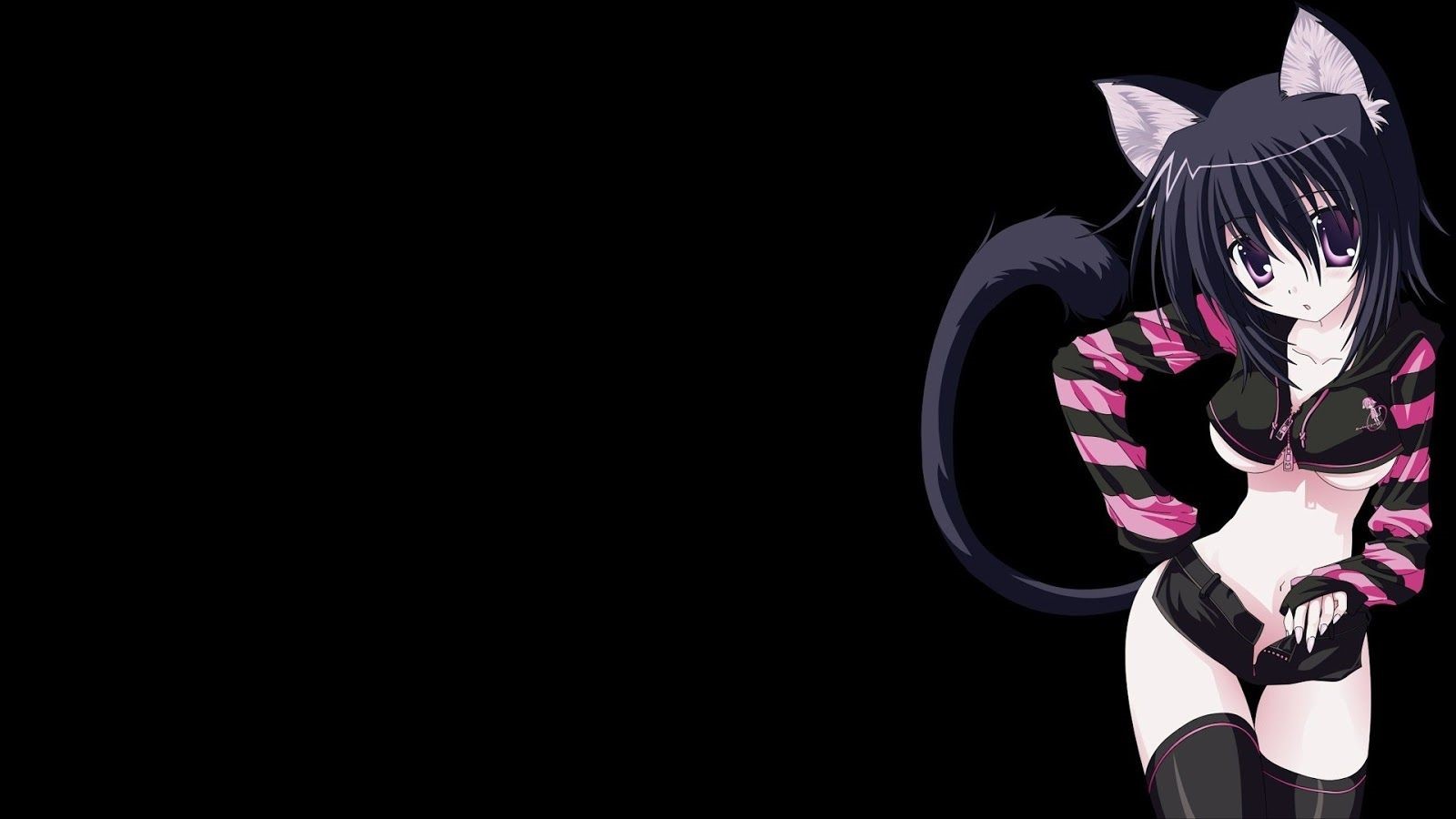 Anime Dark Cat Desktop Wallpaper