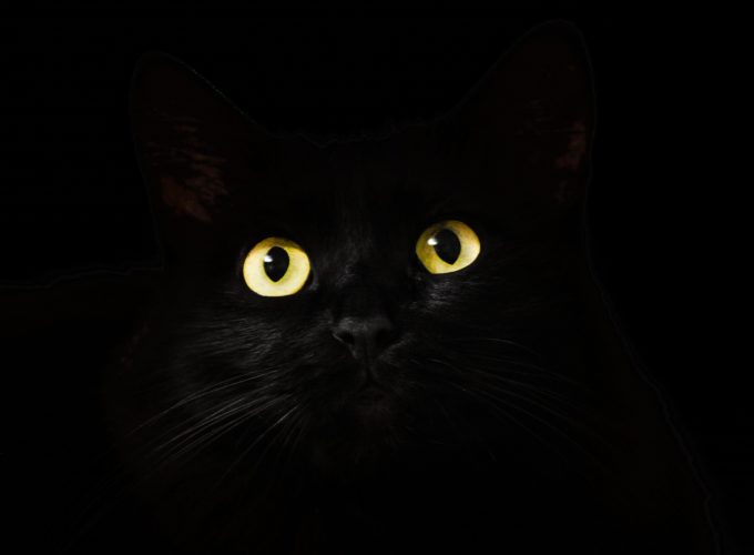 Cat Eyes Desktop 4K Wallpaper