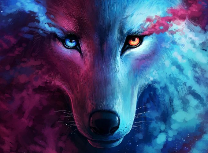 The Galaxy Wolf Desktop Wallpaper