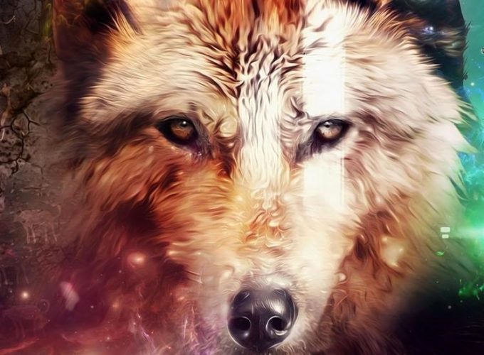 Wolf Android HD Background
