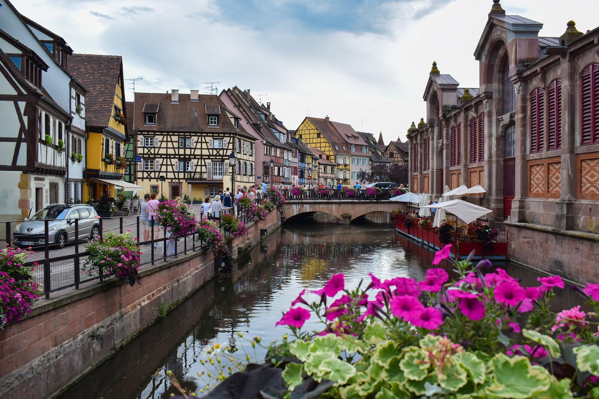 Alsace City And Flower