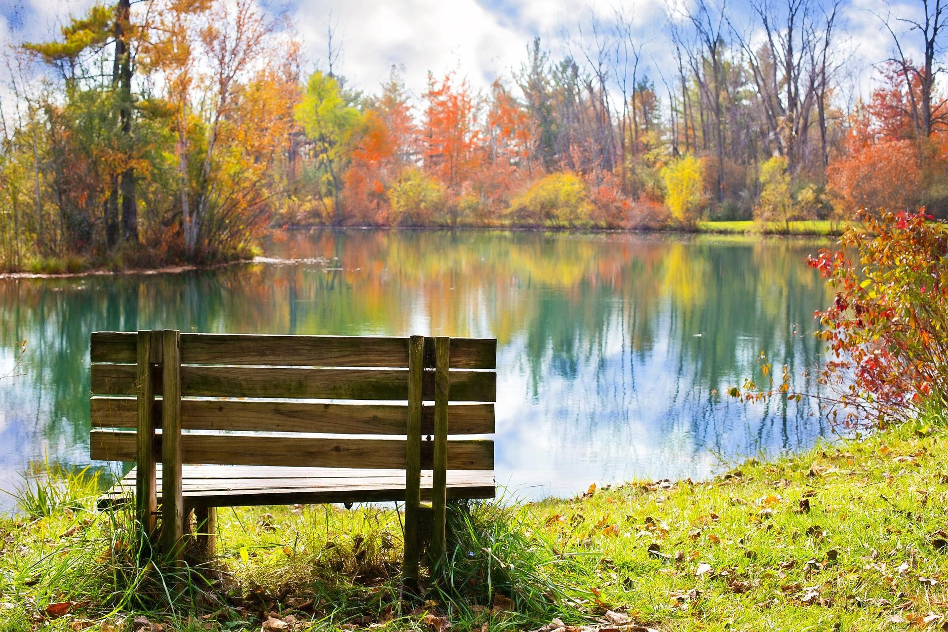 Autumn And Wood Bench