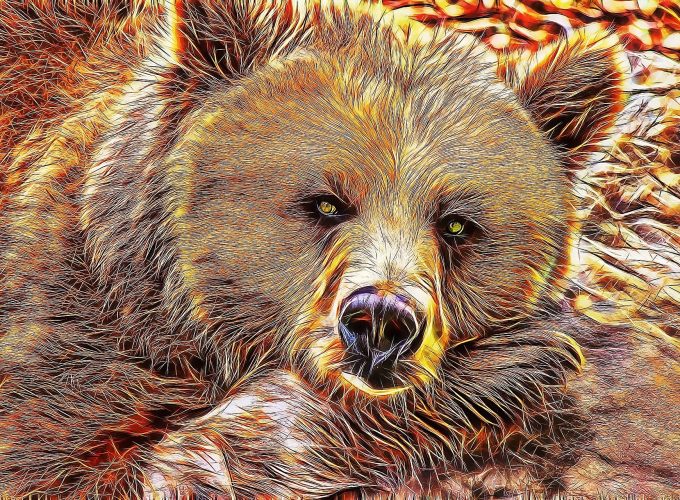 Bear Painted