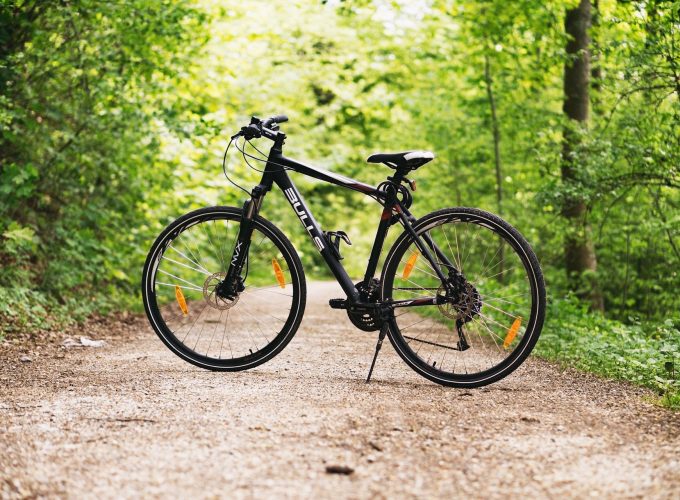 Bicycle Photo On The Forest