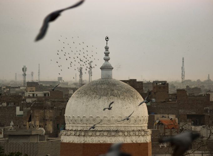 Birds On The Mosque