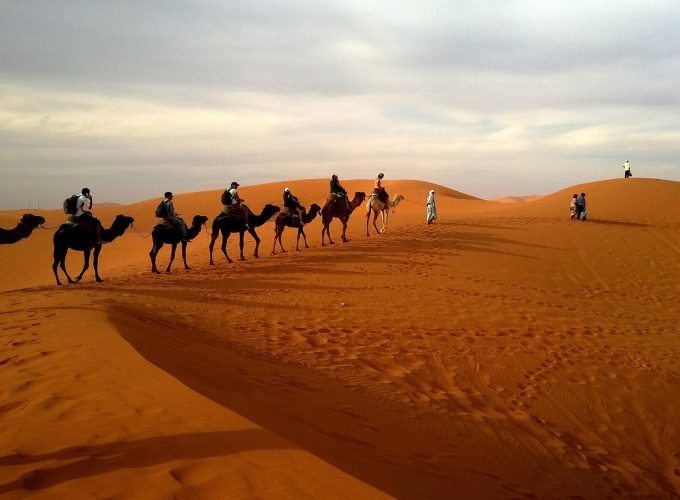 Camels Tour