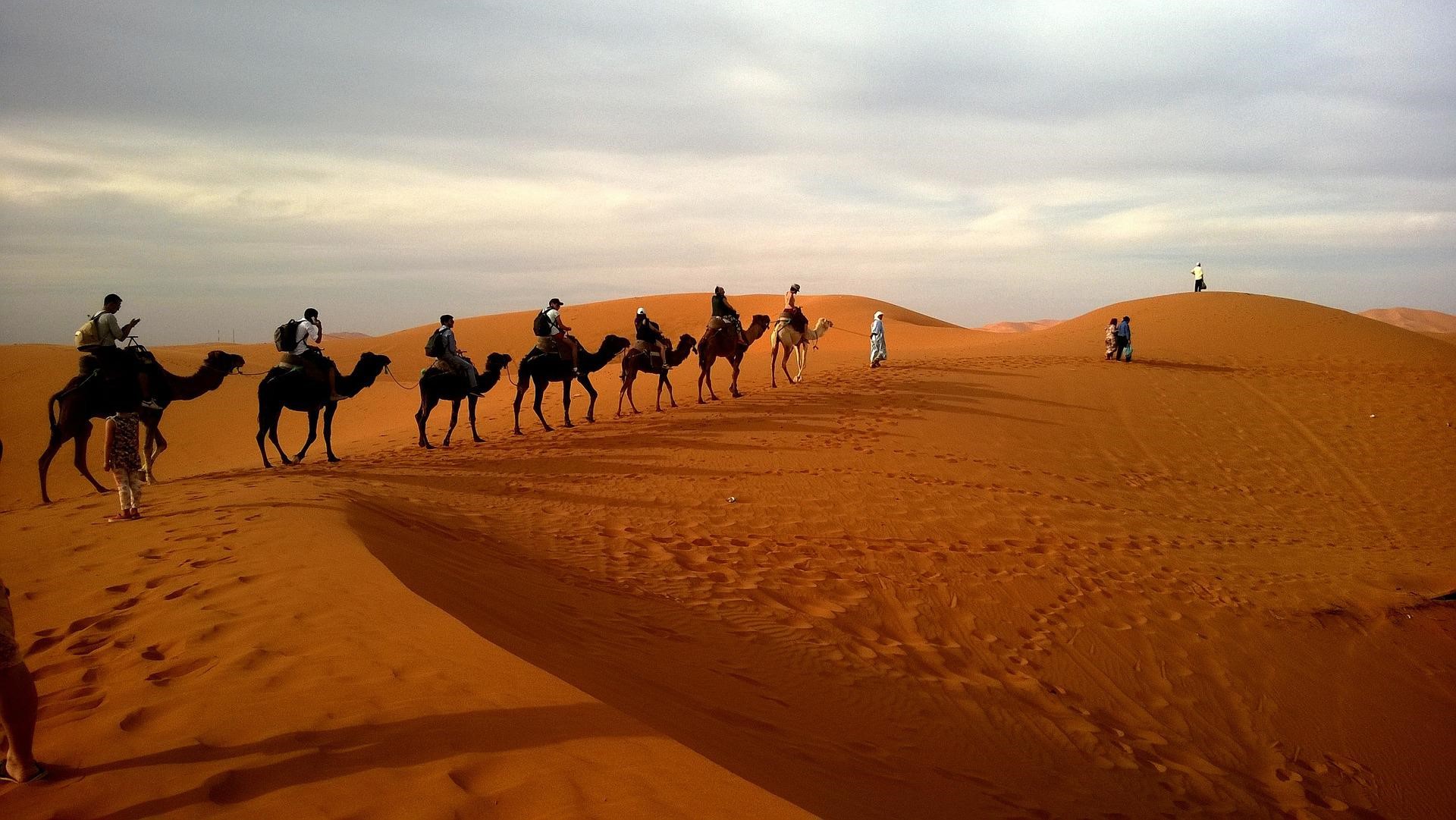 Camels Tour