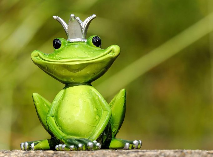 Cute Frog 1