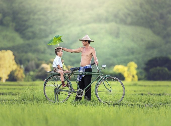 Father And Son Bicycle Tour
