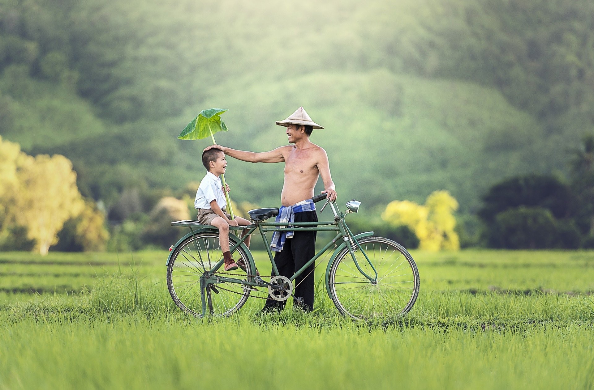 Father And Son Bicycle Tour