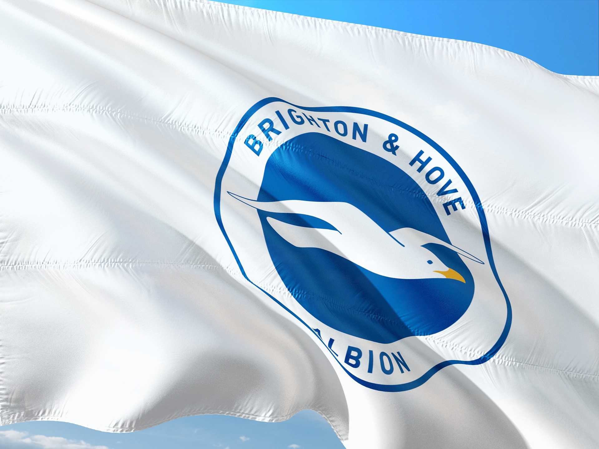 Flags Of Brighton Hove