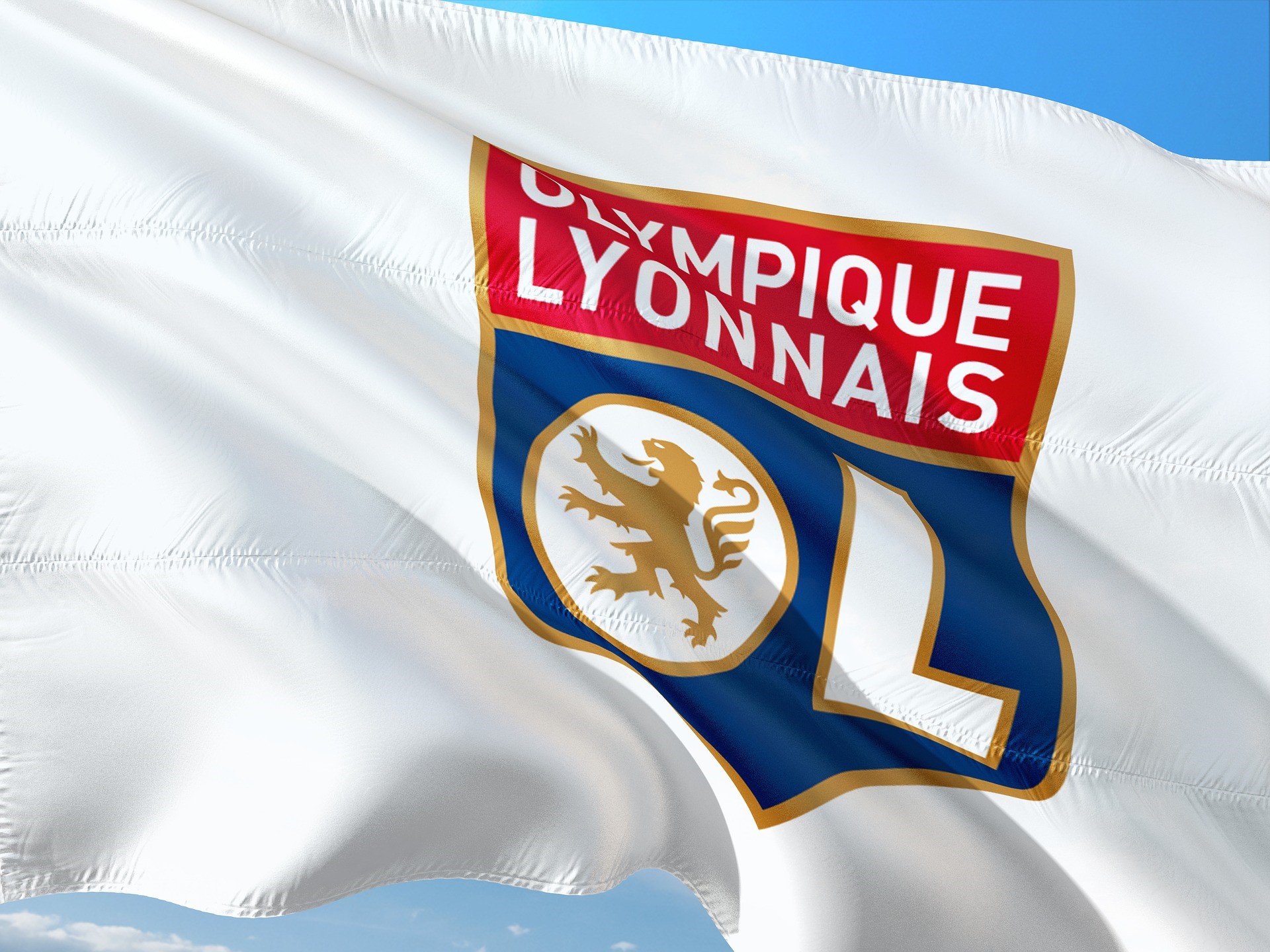 Flags Of Lyonnais
