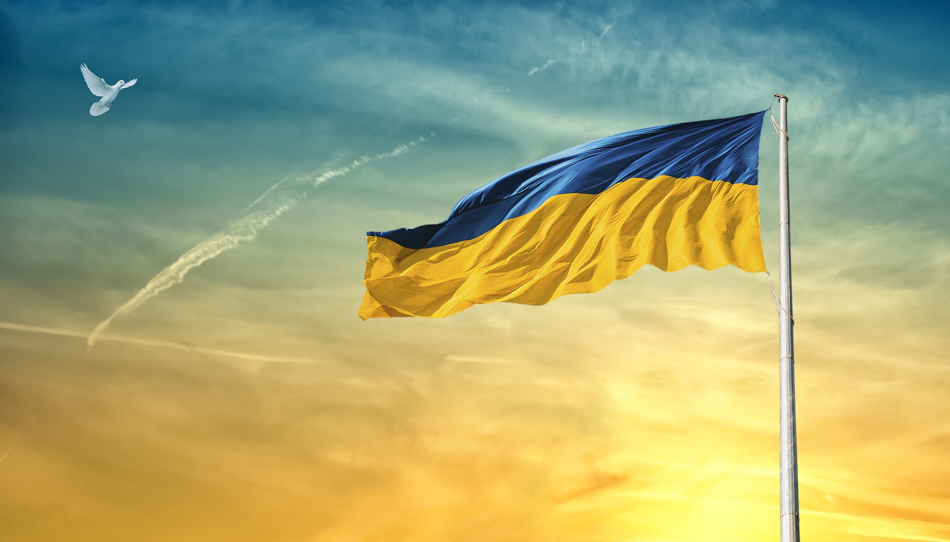 Flags Of Ukraine 3