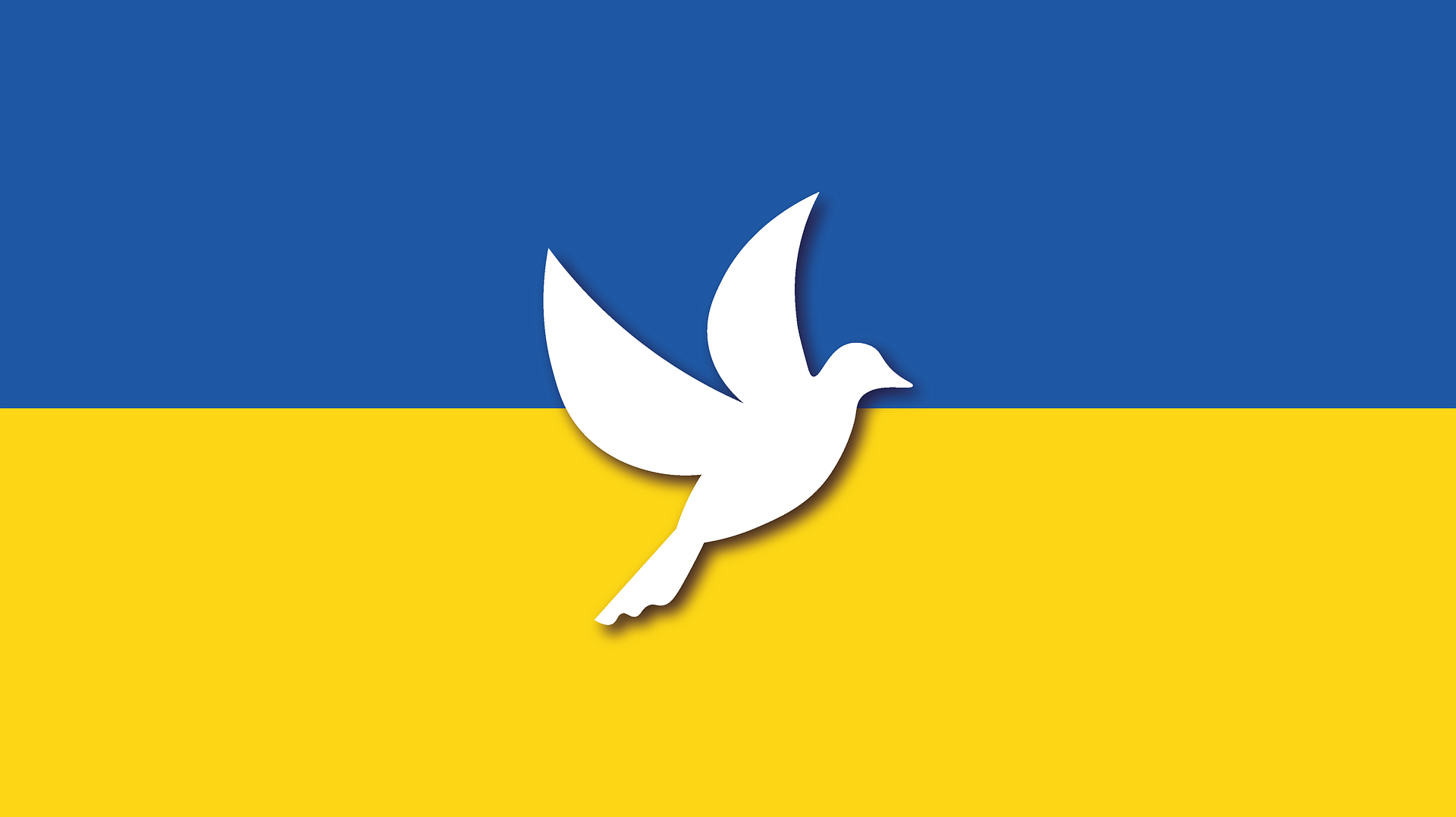 Flags Of Ukraine 3