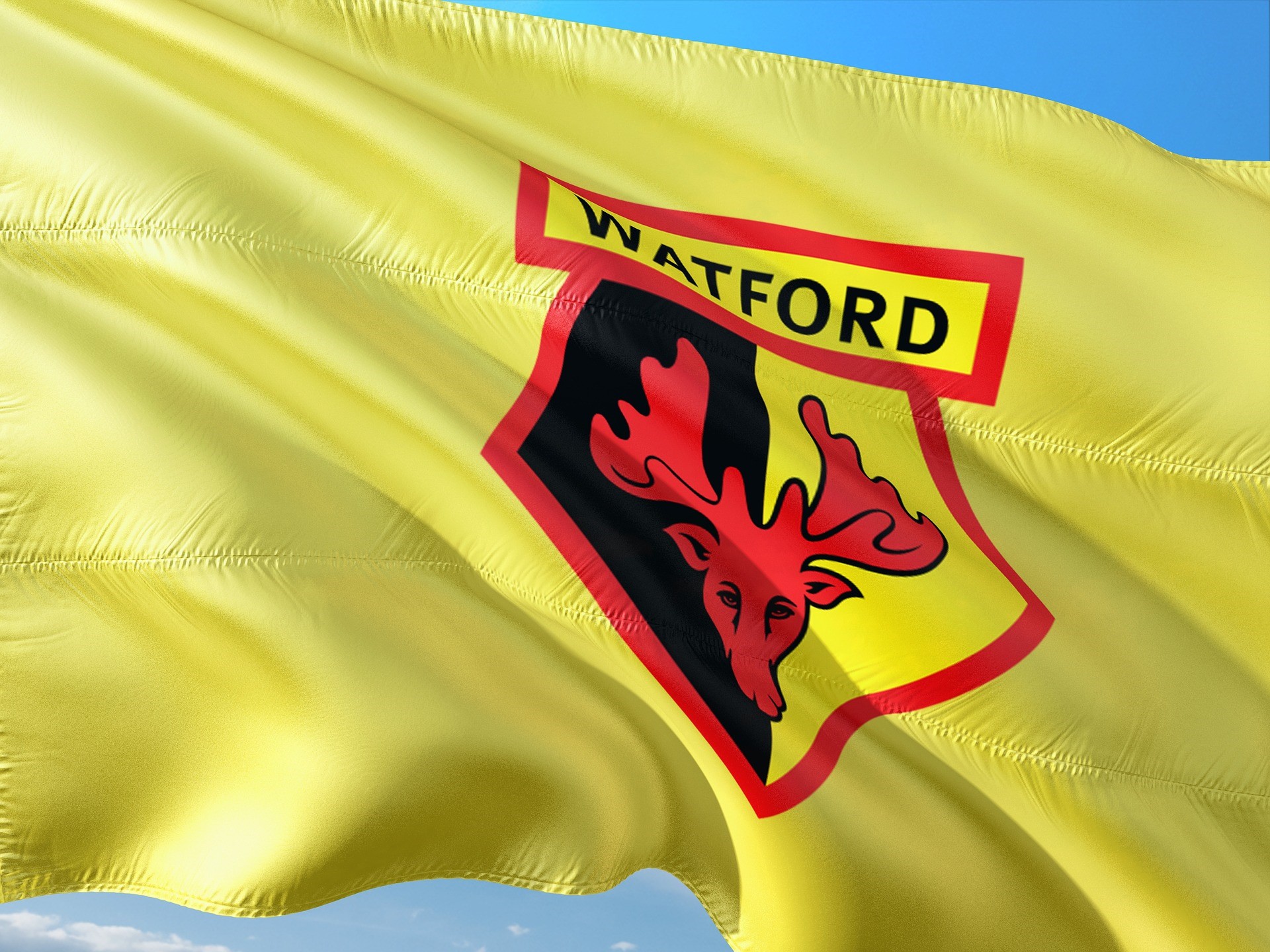 Flags Of Watford