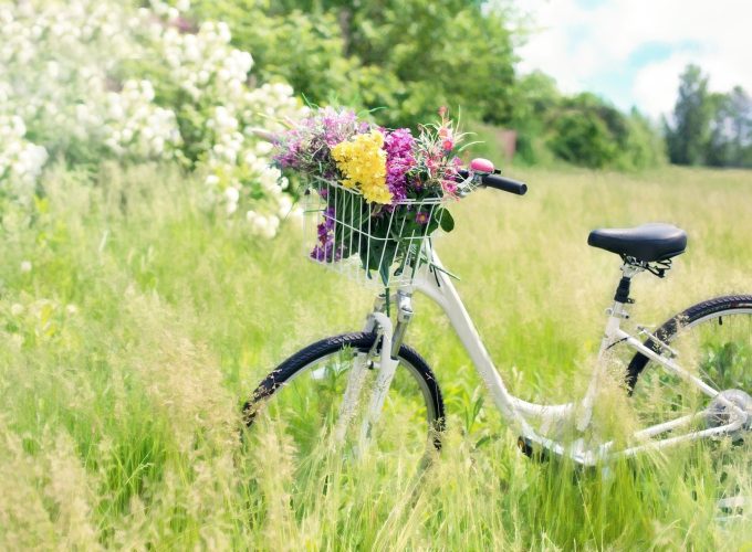 Flower On Bicycle