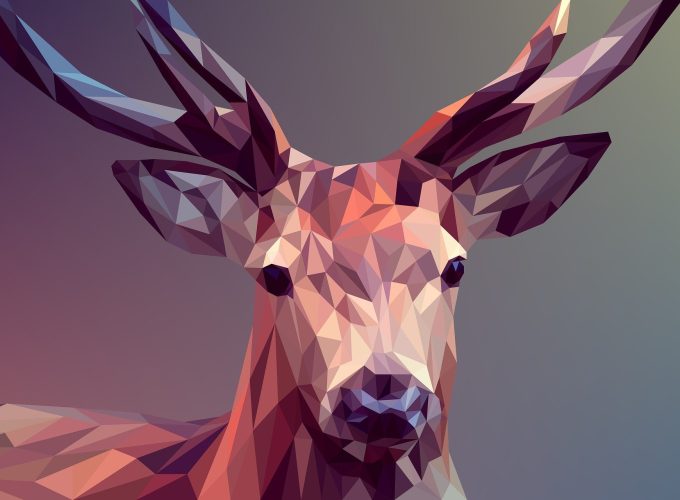 HD Wallpaper Deer