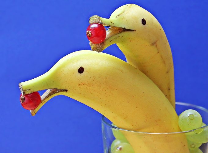 Its A Banana Or Dolphin Funny