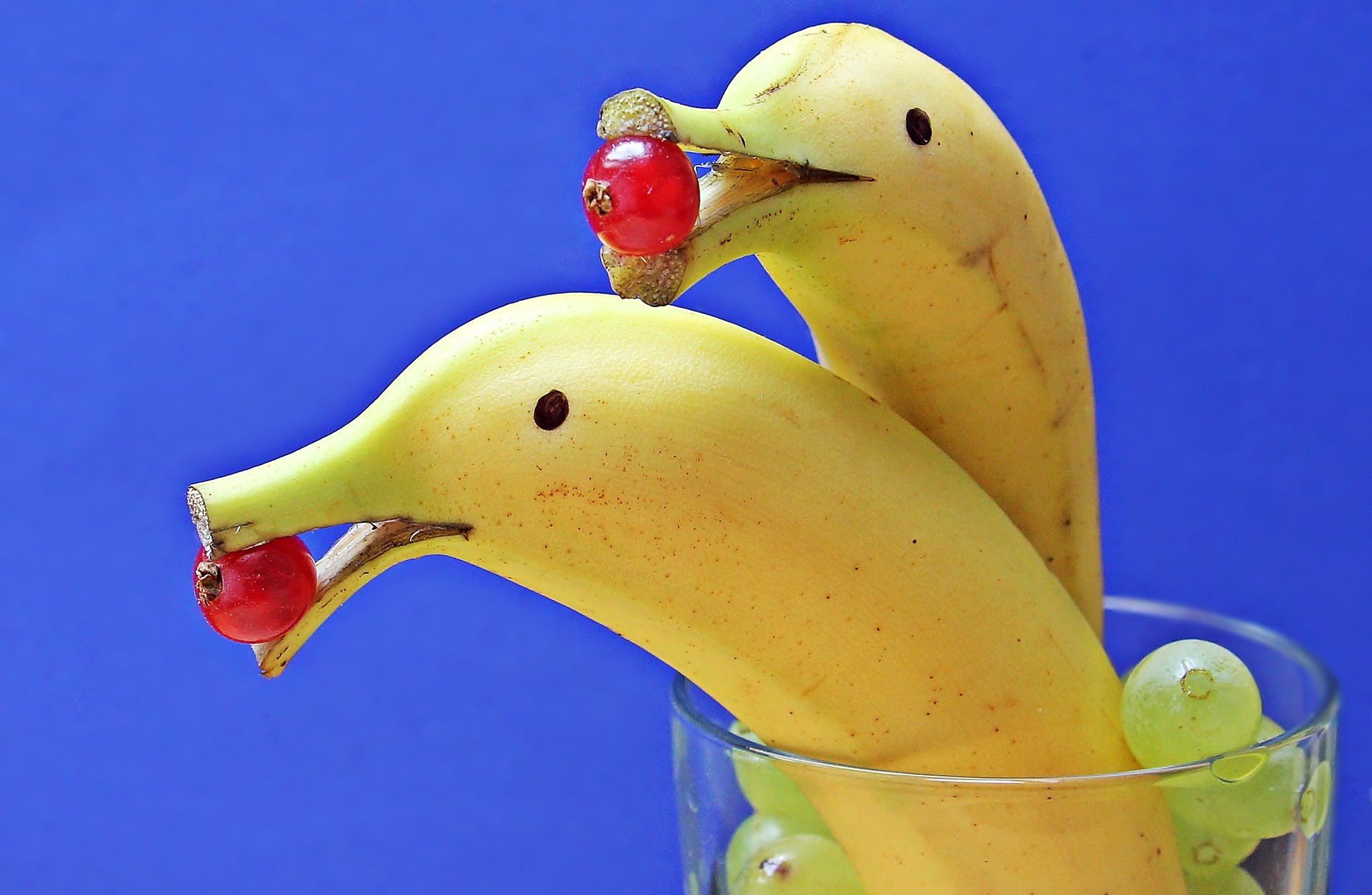 Its A Banana Or Dolphin Funny