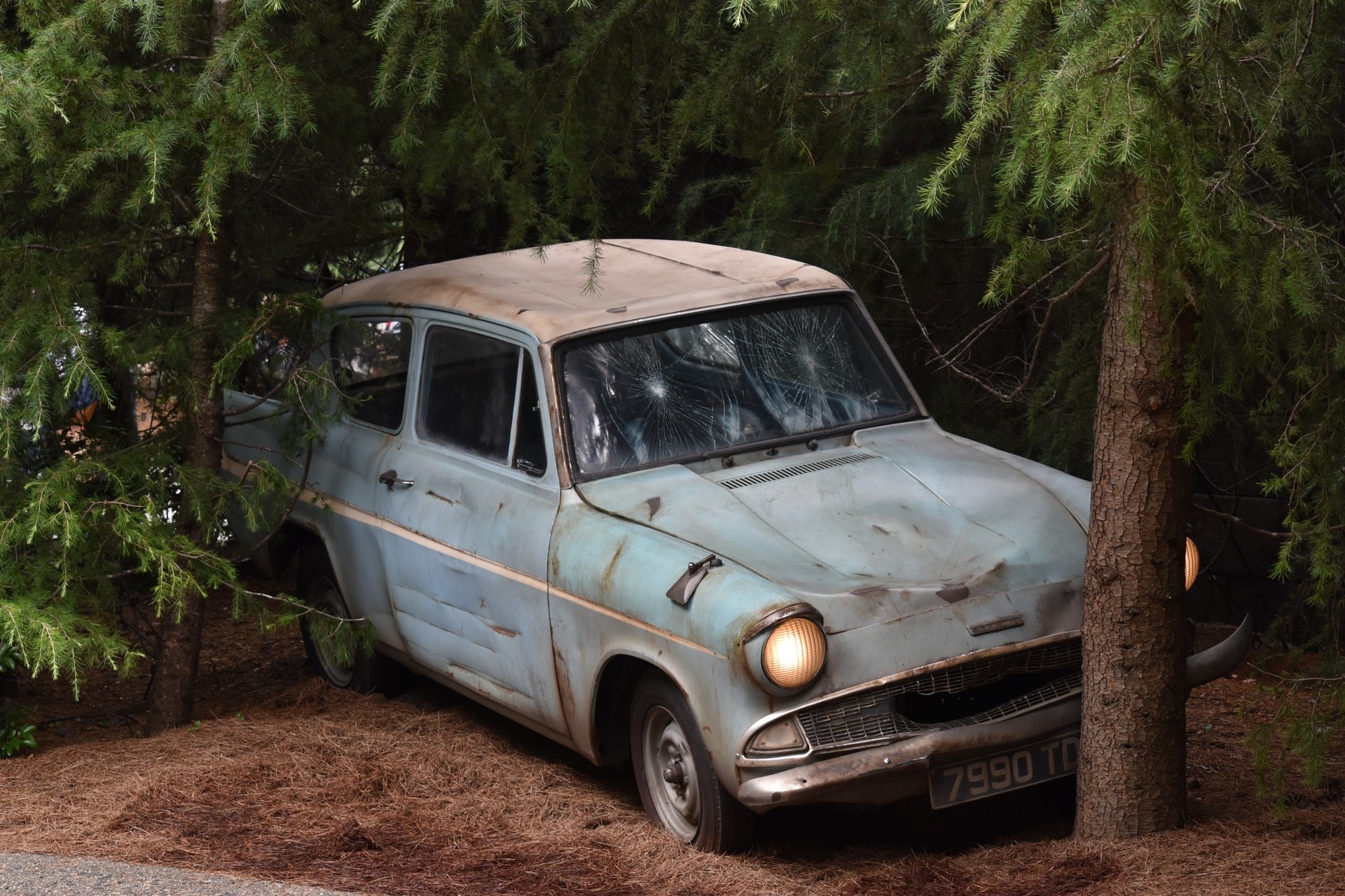 Old Car In The Forest