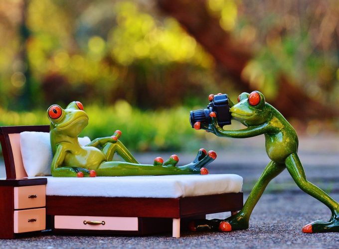 Photographer Frogs