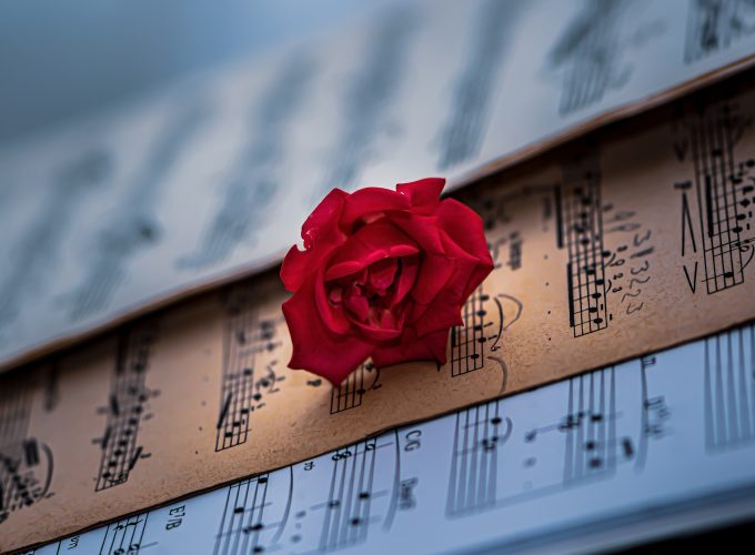 Sheet Music And Rose 2