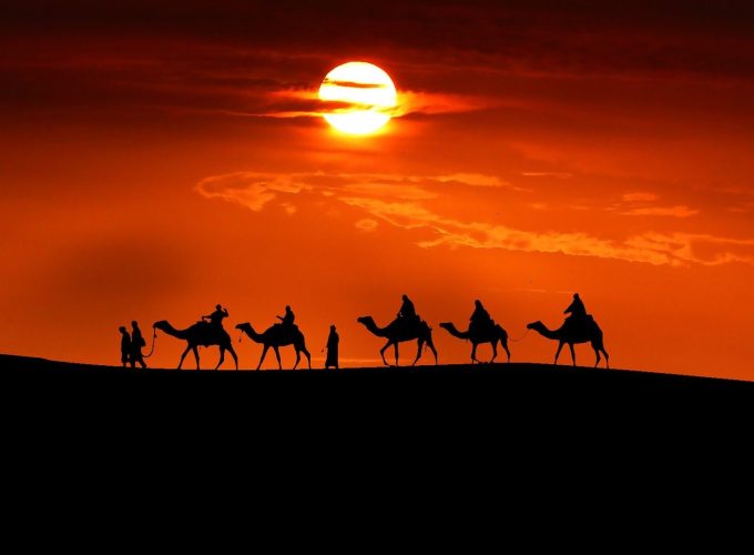The Camels Tour On The Sunset