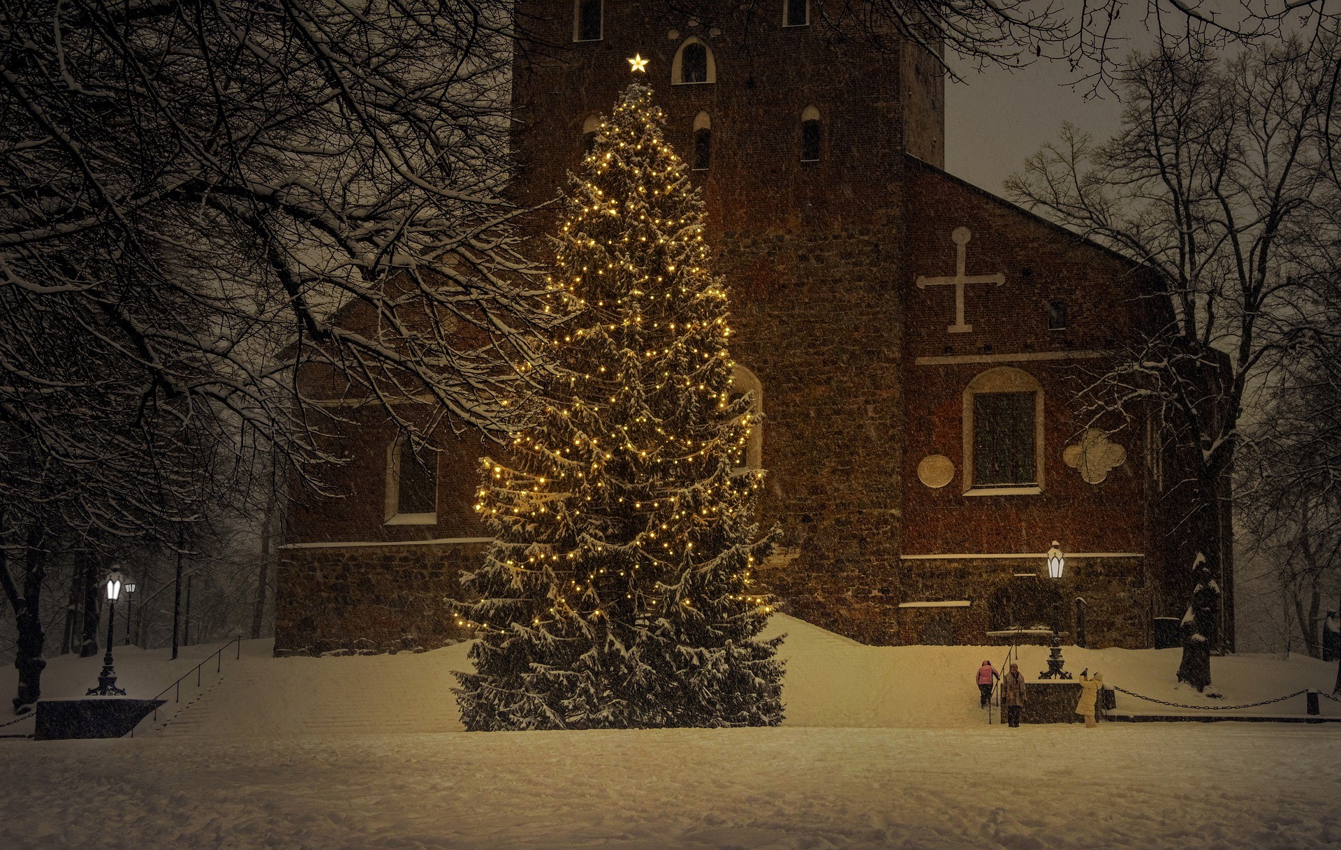 Winter Christmas And Tree